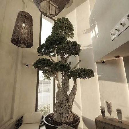 Wakana * ألاتشاتي